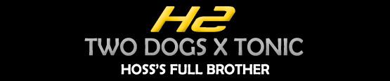 H2