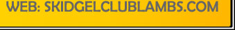 skidgelclublambs.com